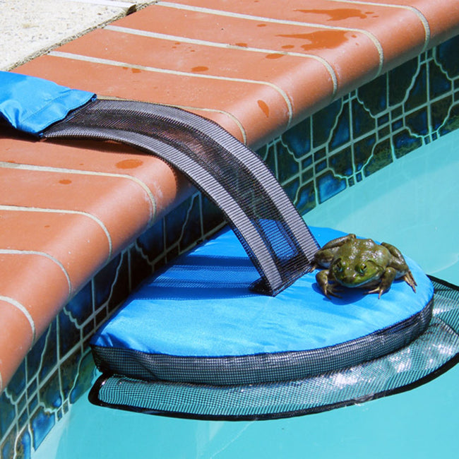 FrogLog Critter Escape Ramp for Swimming Pools